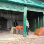 व्यवस्थित तरकारी तथा फलफूल थोक बजार सञ्चालनमा