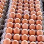 अण्डाको मूल्य हालसम्मकै उच्च