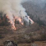 वन डढेलो : नेपालको अर्को प्राकृतिक विपत्ति